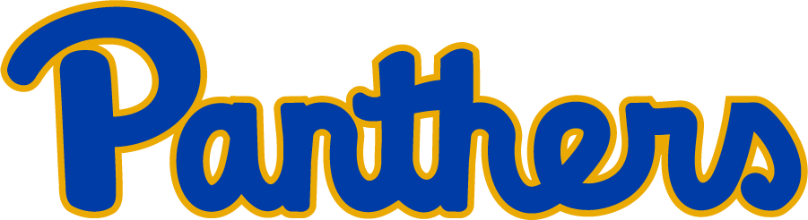 Pittsburgh Panthers 1987-1997 Wordmark Logo diy iron on heat transfer
